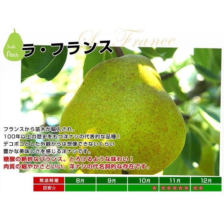岩手県より産地直送 JAいわて中央 洋梨 ラフランス 5キロ(12 玉から18