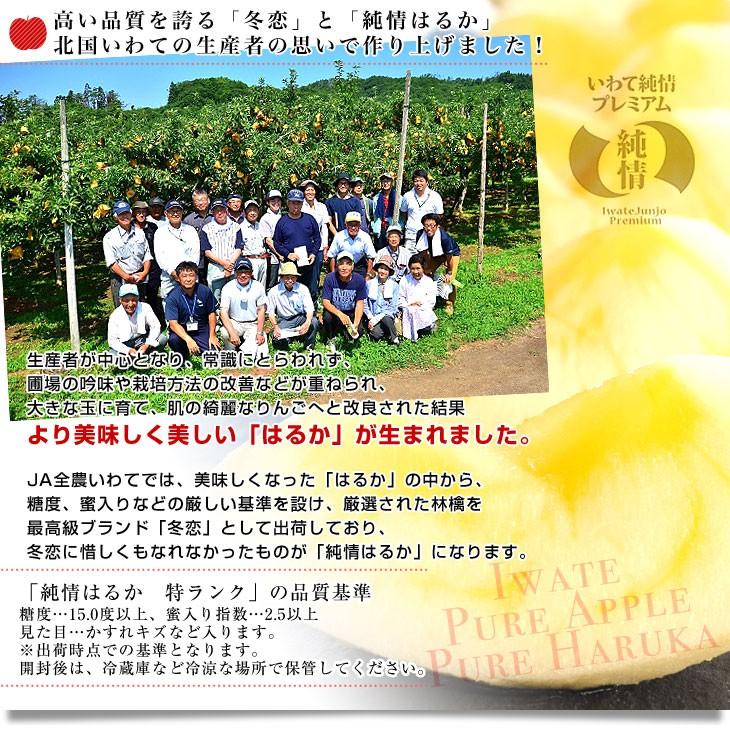 岩手県より産地直送 JA全農いわて いわて純情りんご 純情はるか 5キロ ご家庭用冬恋 (16玉から25玉) 林檎 りんご リンゴ|sanchokudayori|04