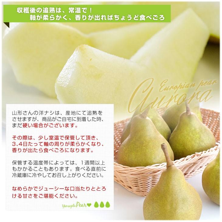 送料無料 山形県より産地直送 本場の洋梨 オーロラ 約５キロ 10玉から15玉 洋ナシ 洋なし 産直だより 通販 Yahoo ショッピング