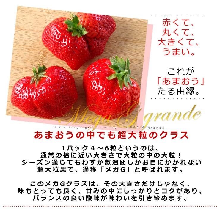 いちごとワカメさんさま　2キロ 楽天市場】福岡県より産地直送 JAくるめ メガGあまおう 超大粒