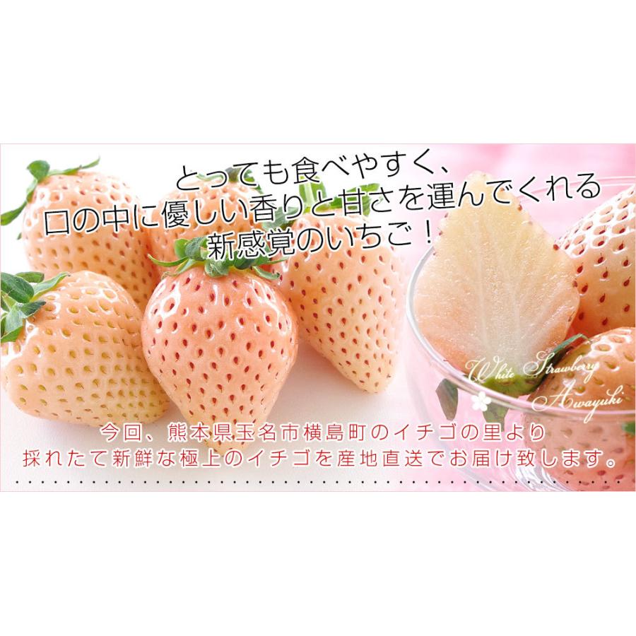 熊本県より産地直送 西谷農園の白いちご 淡雪 あわゆき 約400g 9粒から15粒 化粧箱入り 苺 イチゴ 送料無料 産直だより 通販 Yahoo ショッピング