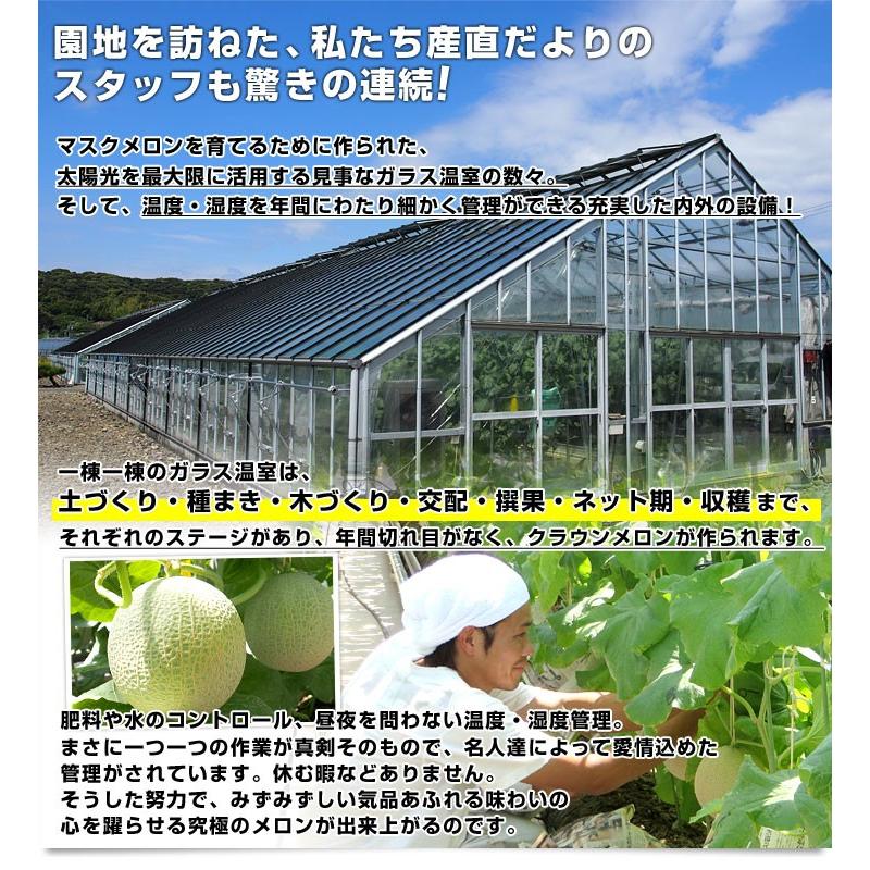 静岡県より産地直送　静岡県温室農業協同組合クラウンメロン支所　クラウンメロン　山　7.5キロ　（6玉）　送料無料　メロン　めろん｜sanchokudayori｜05