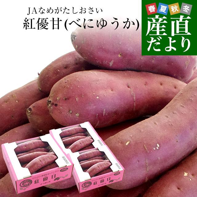 茨城県より産地直送 JAなめがたしおさい さつまいも「紅優甘 (べにゆうか)」 SからSSサイズ 1キロ×3箱セット 送料無料 さつま芋 サツマイモ :1200531730-3p:産直だより - 通販 - Yahoo!ショッピング 茨城県より産地直送 JAなめがたしおさい さつまいも「紅優甘 (べにゆうか)」 SからSSサイズ 1キロ×3箱セット 送料無料 さつま芋 サツマイモ :1200531730-3p:産直だより - 通販 - Yahoo!ショッピング