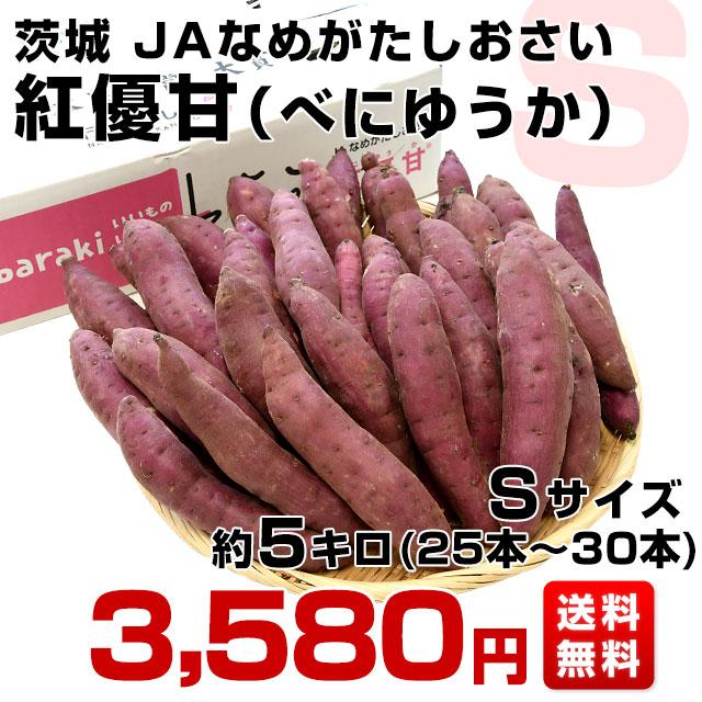 茨城県より産地直送 JAなめがたしおさい さつまいも「紅優甘 (べにゆうか)」 Sサイズ 5キロ(25本から30本) 送料無料 さつま芋 サツマイモ 薩摩芋｜sanchokudayori｜03