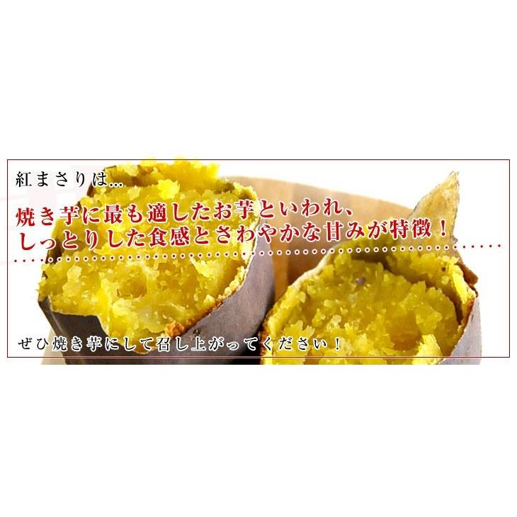 茨城県より産地直送 JAなめがた さつまいも「紅まさり（べにまさり