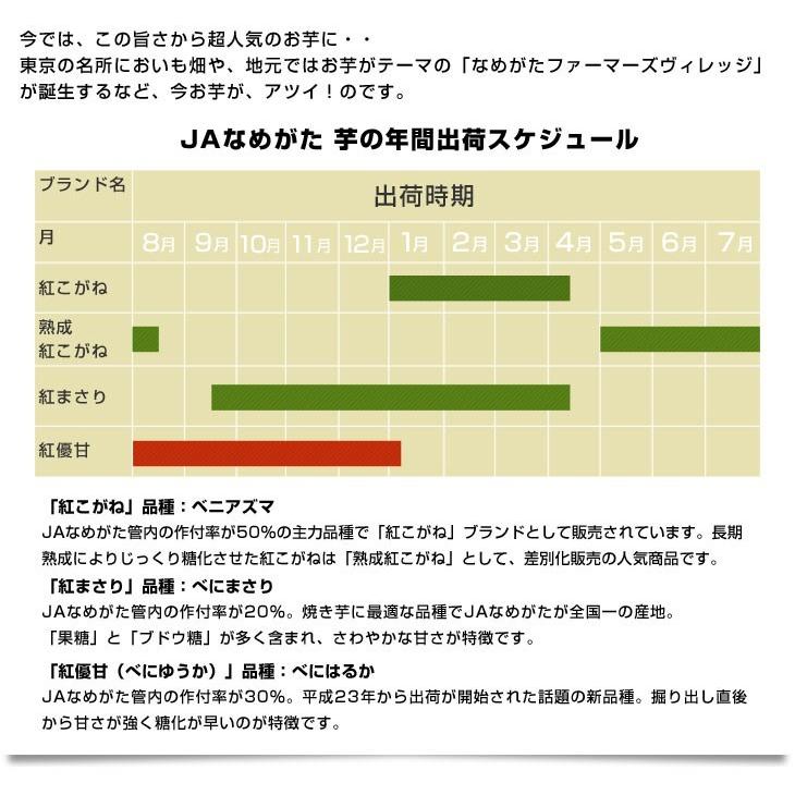 茨城県より産地直送 JAなめがた さつまいも「紅まさり（べにまさり