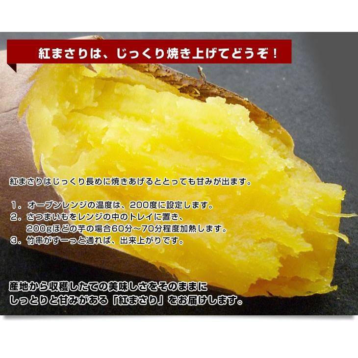茨城県より産地直送 Jaなめがた さつまいも 紅まさり べにまさり Mサイズ 約5キロ 18本前後 送料無料 さつま芋 サツマイモ 薩摩芋 産直だより 通販 Yahoo ショッピング
