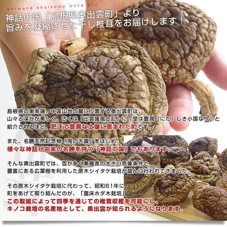 島根県より産地直送 奥出雲椎茸 干ししいたけ「雲太」 超特大サイズ 70g 送料無料|sanchokudayori|03