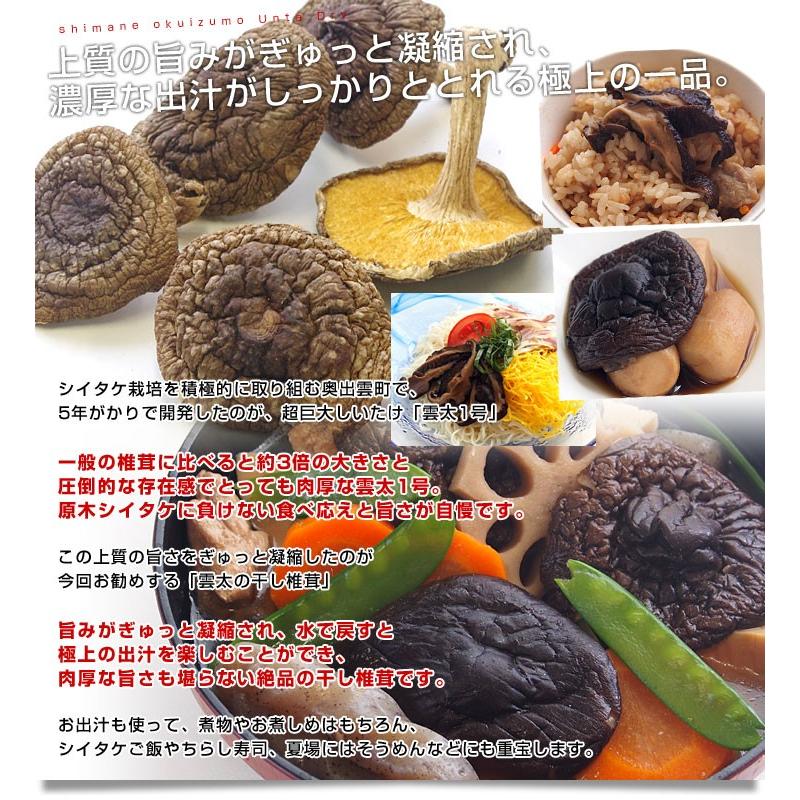島根県より産地直送 奥出雲椎茸 干ししいたけ「雲太」 超特大サイズ 70g 送料無料|sanchokudayori|04