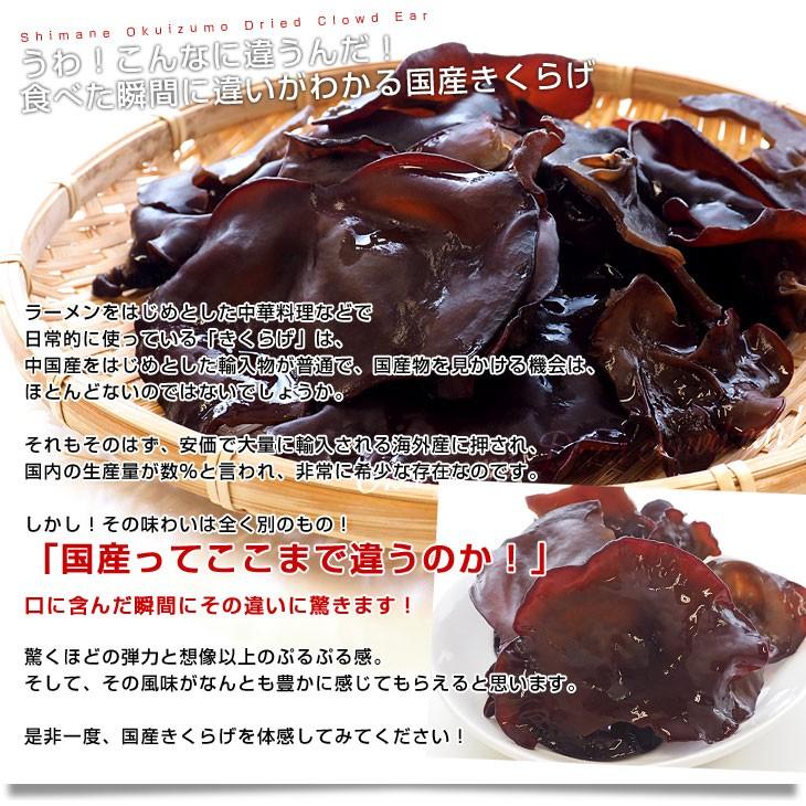 島根県より産地直送 奥出雲キノコ 乾燥キクラゲ 50g×3袋 木耳 国産キクラゲ 送料無料|sanchokudayori|04