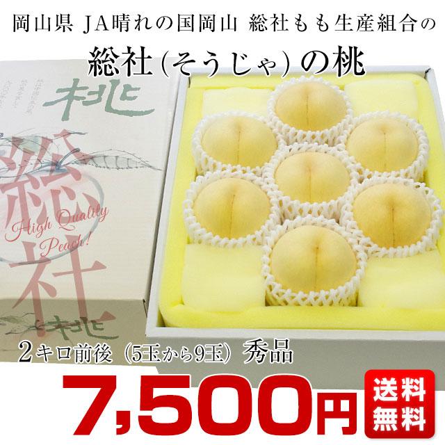 岡山県から産地直送 Ja晴れの国岡山 総社もも生産部会 総社 そうじゃ の桃 青秀以上 2キロ前後 5玉から9玉 総社の桃 モモ 送料無料 C1 産直だより 通販 Yahoo ショッピング
