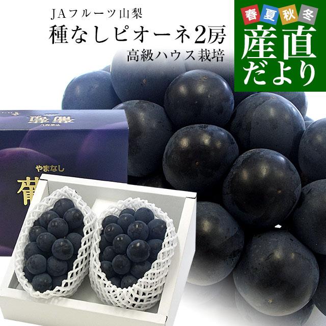 山梨県より産地直送 JAフルーツ山梨 種なしピオーネ 秀品 大房2房入り