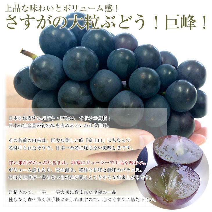 山梨県より産地直送 Jaフルーツ山梨 高級ハウス栽培 種なし巨峰 秀品 大房1房入り化粧箱 約650g 1房 送料無料 葡萄 ぶどう 産直だより 通販 Yahoo ショッピング