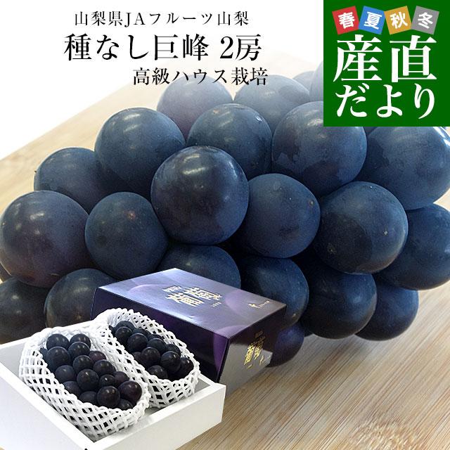 山梨県より産地直送 JAフルーツ山梨 種なし巨峰 秀品 大房2房入り化粧