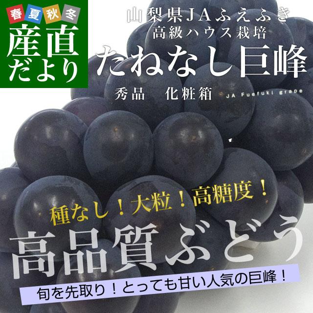 山梨県から産地発送 Jaふえふき 高級ハウス栽培種なし巨峰 秀品 1房 450g化粧箱入り ぶどう 葡萄 送料無料 産直だより 通販 Yahoo ショッピング