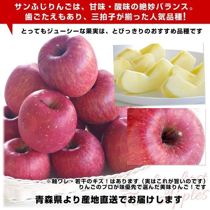 青森県より産地直送 高木商店 マルタカブランド 高木のサンふじ 味優先の理由あり 5キロ 16玉から玉入 送料無料 林檎 リンゴ 津軽 弘前 産直だより 通販 Yahoo ショッピング