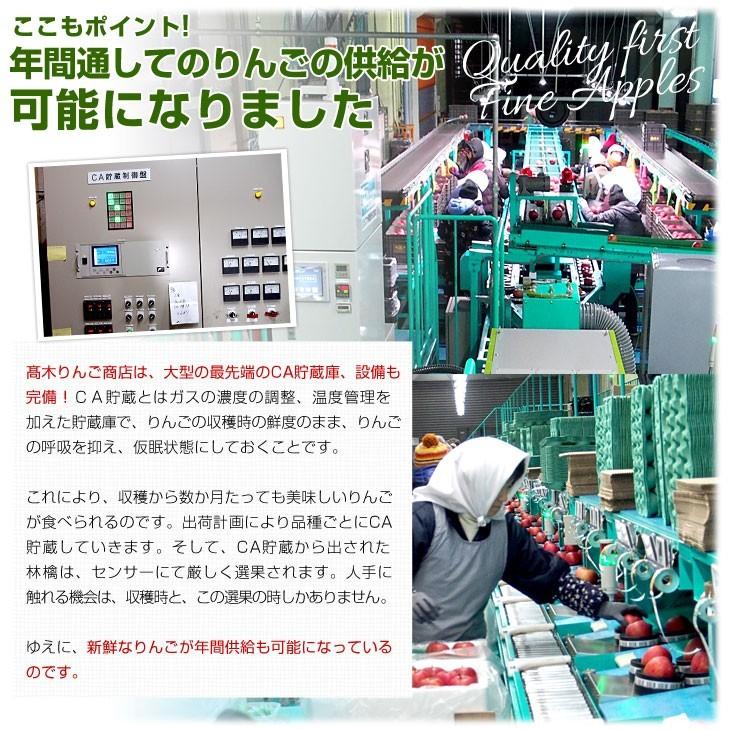 青森県より産地直送 高木商店 マルタカブランド サンふじりんご 青森県より産地直送 高木商店 マルタカブランド サンふじりんご