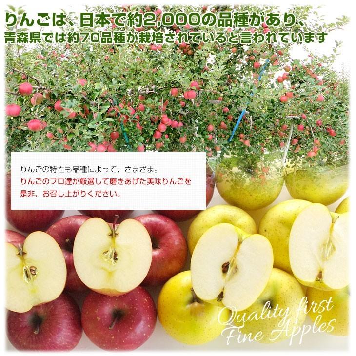 青森県より産地直送 高木商店 マルタカブランド サンふじりんご 青森県より産地直送 高木商店 マルタカブランド サンふじりんご