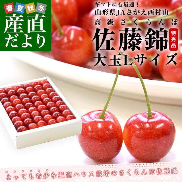 山形県 JAさがえ西村山 温室栽培「さくらんぼ佐藤錦」 ギフト用大玉Lサイズ 300g 化粧箱 送料無料 ※クール便発送｜sanchokudayori