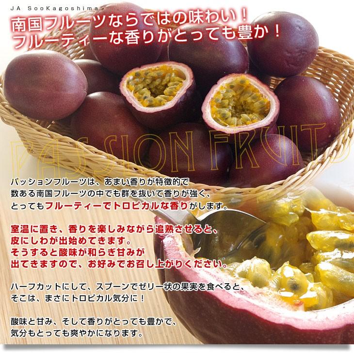 鹿児島県より産地直送 JAそお鹿児島 パッションフルーツ 2Lから3Lサイズ 1.2キロ(9玉から12玉) 送料無料 トロピカルフルーツ 曽於|sanchokudayori|03