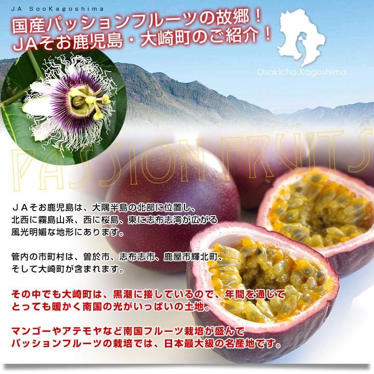 鹿児島県より産地直送 JAそお鹿児島 パッションフルーツ 2Lから3Lサイズ 1.2キロ(9玉から12玉) 送料無料 トロピカルフルーツ 曽於|sanchokudayori|05