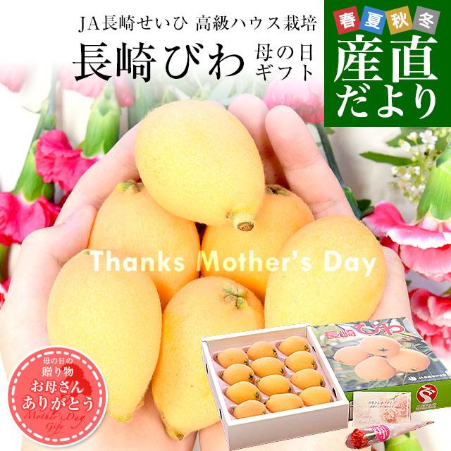 【遅れてごめんね 母の日ギフト】 長崎県より産地直送 JA長崎せいひ 高級ハウス栽培 長崎びわ 500g化粧箱 3LからLサイズ (8玉から12玉) 送料無料 母の日びわ（Yahoo!・産直だより）