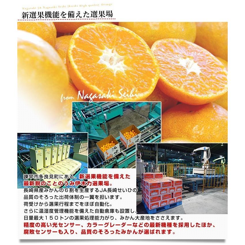 長崎県より産地直送 JA長崎せいひ 長崎みかん 2L以上の大玉 5キロ（20