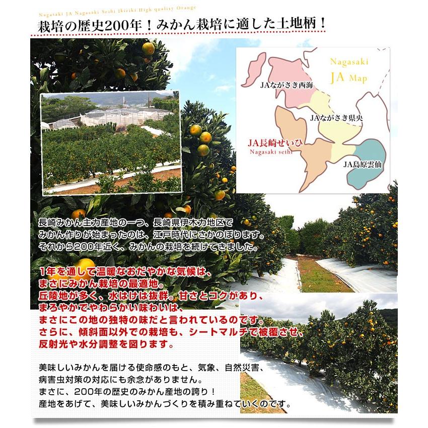長崎県より産地直送 Ja長崎せいひ 長崎みかん 小玉 Sからssサイズ 5キロ 蜜柑 ミカン 送料無料 産直だより 通販 Yahoo ショッピング