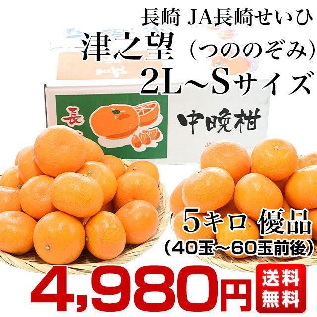 長崎県より産地直送 JA長崎せいひ 津之望(つののぞみ) 2LからSサイズ 優品 5キロ (40玉から60玉) 柑橘 オレンジ 津の望 西彼 伊木力 大西海｜sanchokudayori｜03