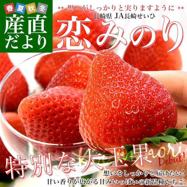 長崎県より産地直送 Ja長崎せいひ 期待の新品種いちご 恋みのり 500g化粧箱 8粒から15粒入 送料無料 苺 イチゴ こいみのり 長崎西彼農協 産直だより 通販 Yahoo ショッピング