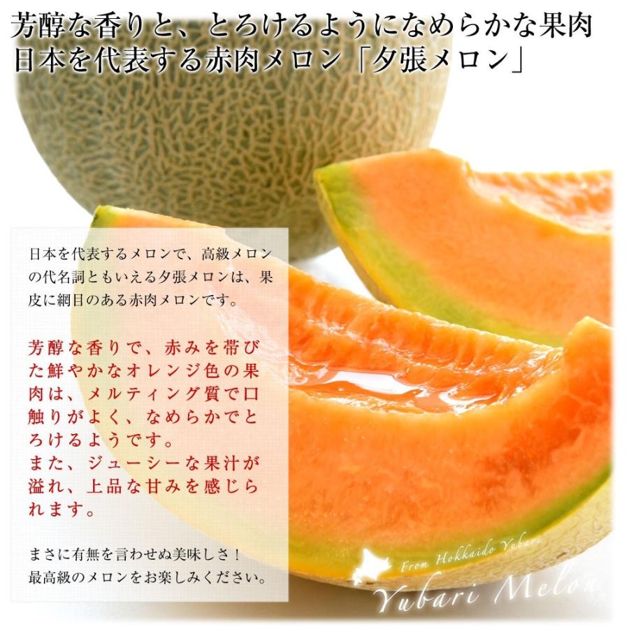 北海道より産地直送 JA夕張市 夕張メロン 秀品 1玉(2キロ×1玉) 送料無料ゆうばり 夕張キング めろん お中元 ギフト|sanchokudayori|03