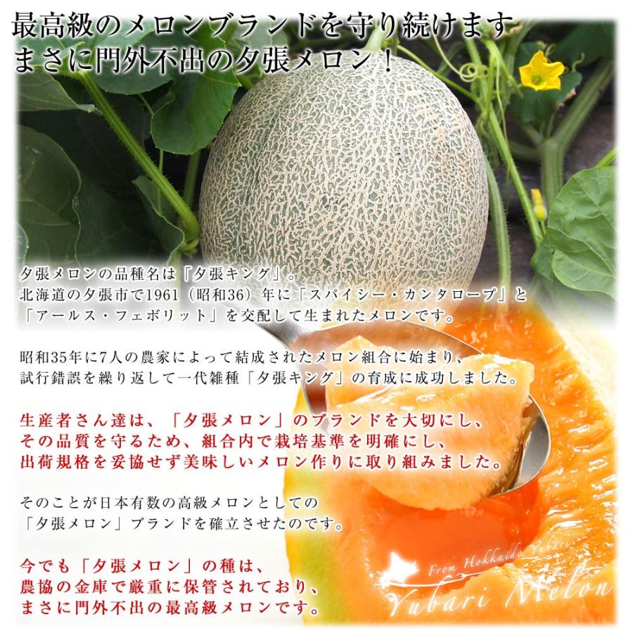 北海道青肉 暑寒メロン 秀品 3玉8キロ JAきたそらち 北海道 '暑寒メロン' 青肉 秀品 3玉 8キロ - メルカリ