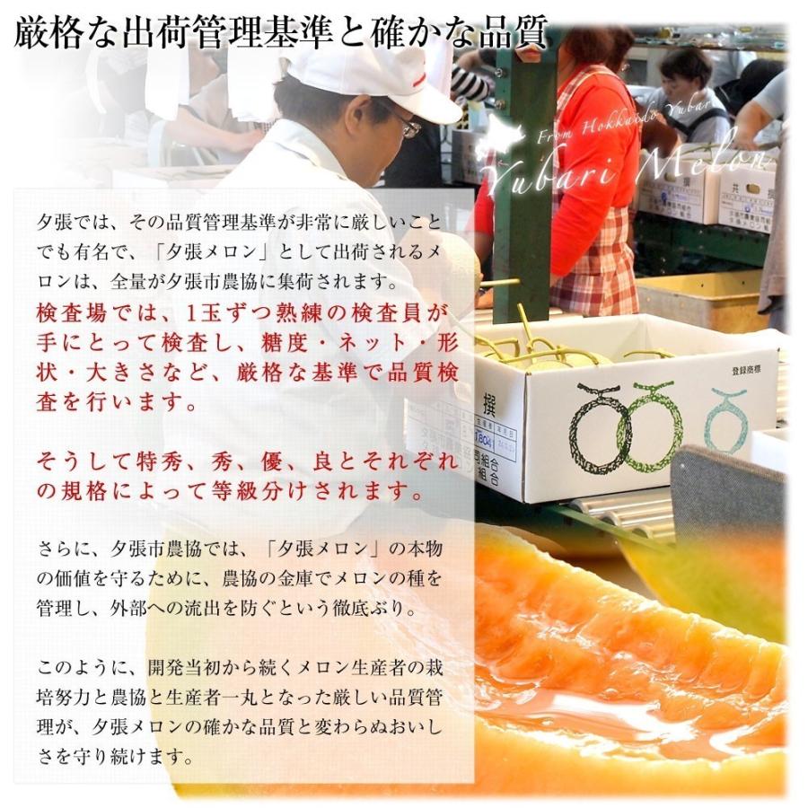 北海道より産地直送 JA夕張市 夕張メロン 優品 2玉（1.3キロ×2玉