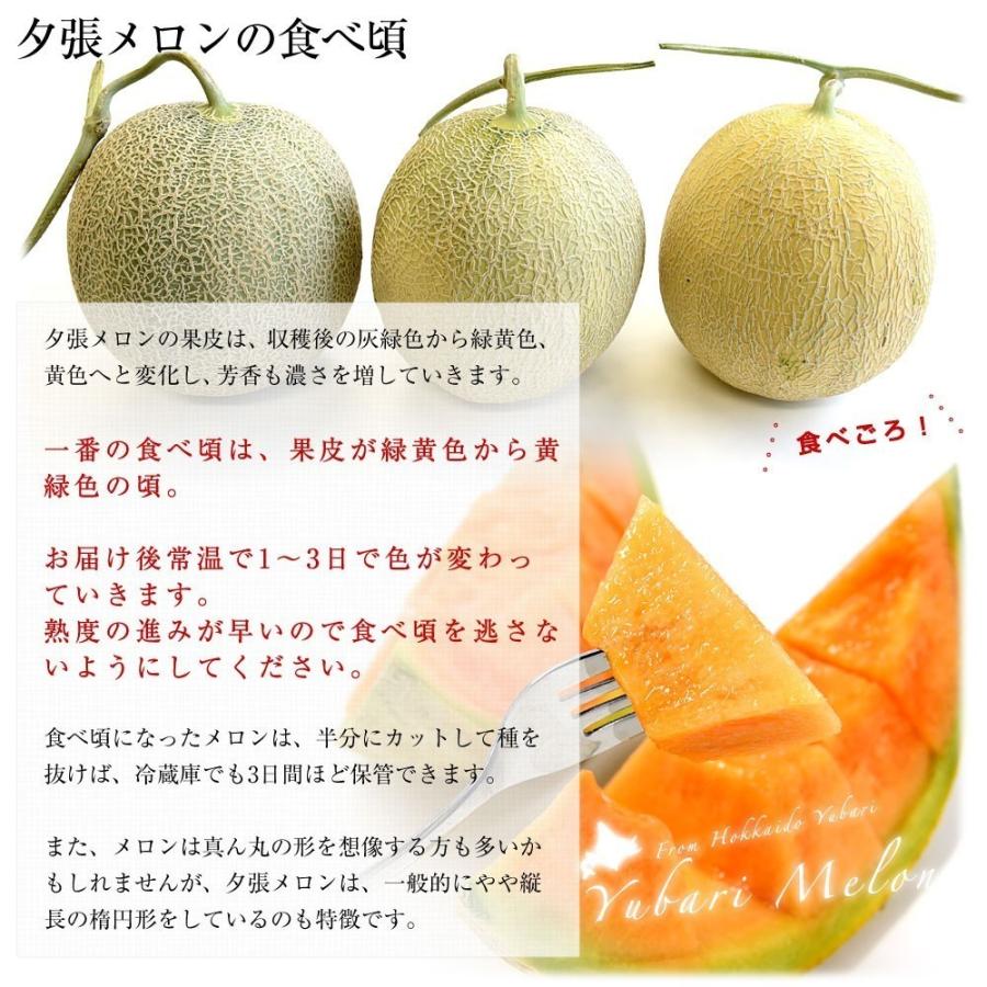 北海道より産地直送 Ja夕張市 夕張メロン 良品 1玉 1 3キロ １玉 送料無料ゆうばり 夕張キング めろん 1201232398 1p 産直だより 通販 Yahoo ショッピング
