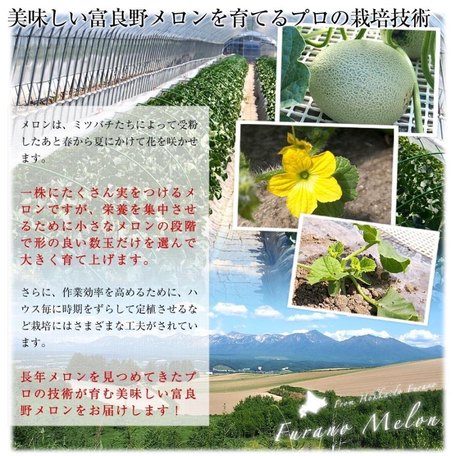 北海道より産地直送 富良野メロン (赤肉) 大玉2玉入り化粧箱 (1.6キロ