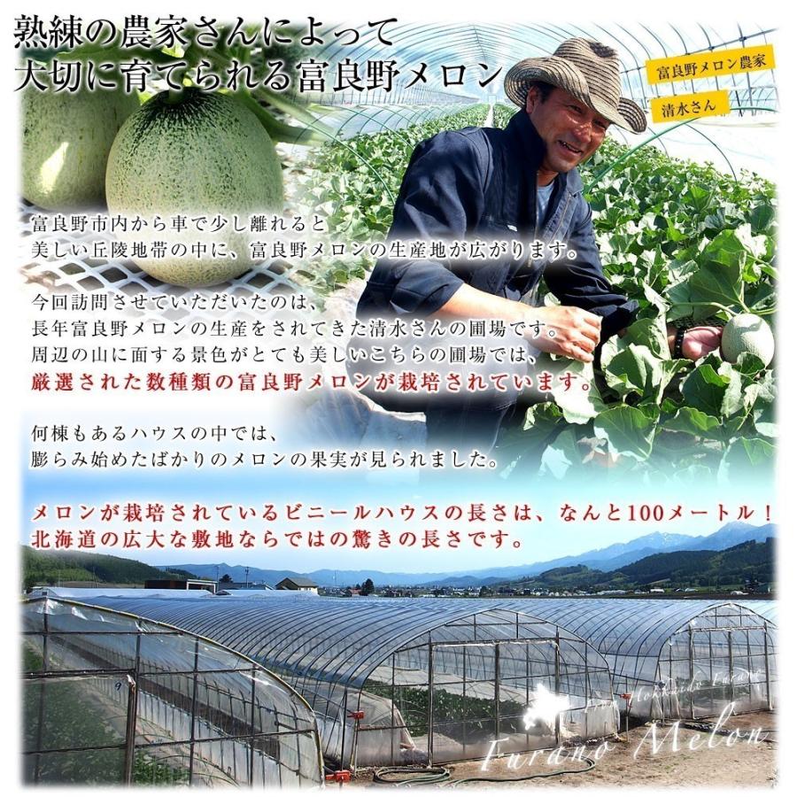 北海道から産地直送 富良野メロン 黄美香 8キロ 超大玉(約2キロ×4玉