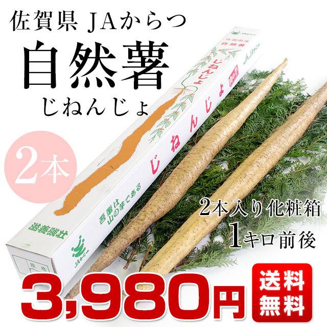 佐賀県より産地直送 JAからつ 自然薯 2本入 約1キロ 送料無料 化粧箱 じねんじょ 山芋 やまいも :120525609:産直だより - 通販 - Yahoo!ショッピング 佐賀県より産地直送 JAからつ 自然薯 2本入 約1キロ 送料無料 化粧箱 じねんじょ 山芋 やまいも :120525609:産直だより - 通販 - Yahoo!ショッピング