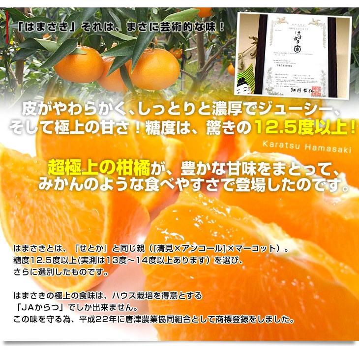 佐賀県より産地直送 Jaからつ はまさき 秀品 Lからsサイズ 約2 5キロ 12から18玉前後 送料無料 唐津 浜崎 産直だより 通販 Yahoo ショッピング