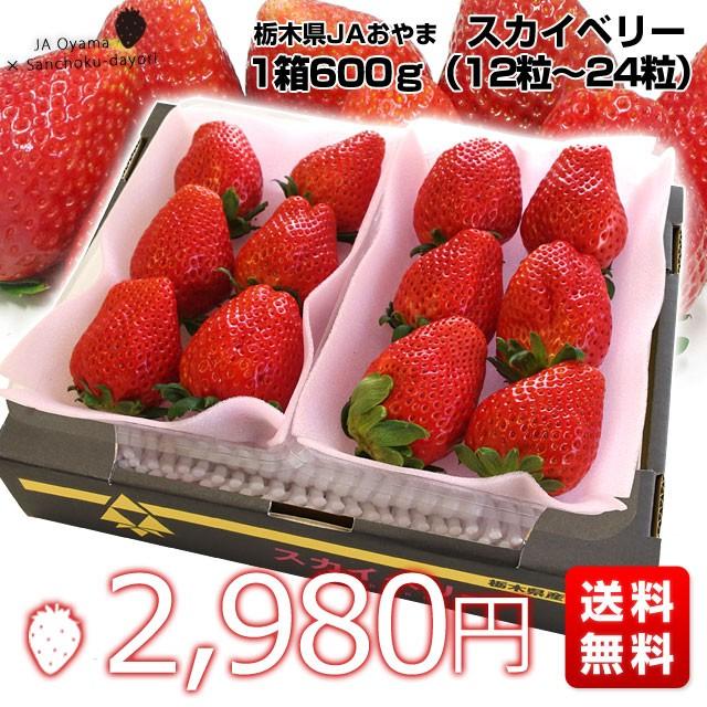 栃木県より産地直送 JAおやま スカイベリー 約300g×2P(6粒から12粒×2P