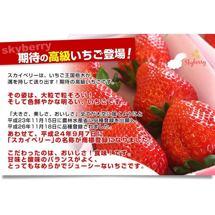 栃木県より産地直送 JAおやま スカイベリー 約300g×2P(6粒から12粒×2P