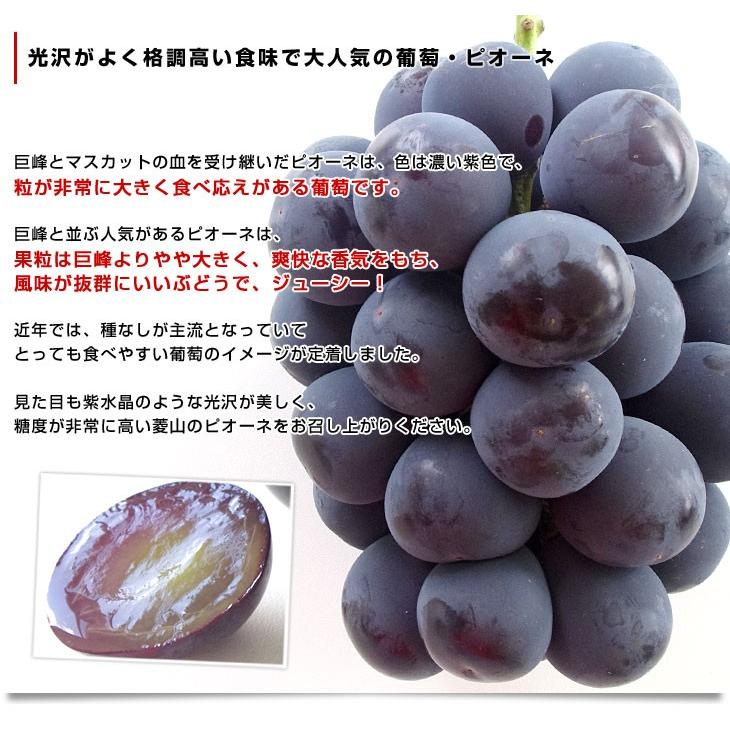 山梨県より産地直送 JAフルーツ山梨・菱山支所 ひしやまのピオーネ 最