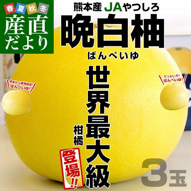 熊本県より産地直送 Jaやつしろ 晩白柚 大玉 3玉入り 4キロから5キロ 送料無料 ばんぺいゆ 最大級 柑橘 八代 産直だより 通販 Yahoo ショッピング