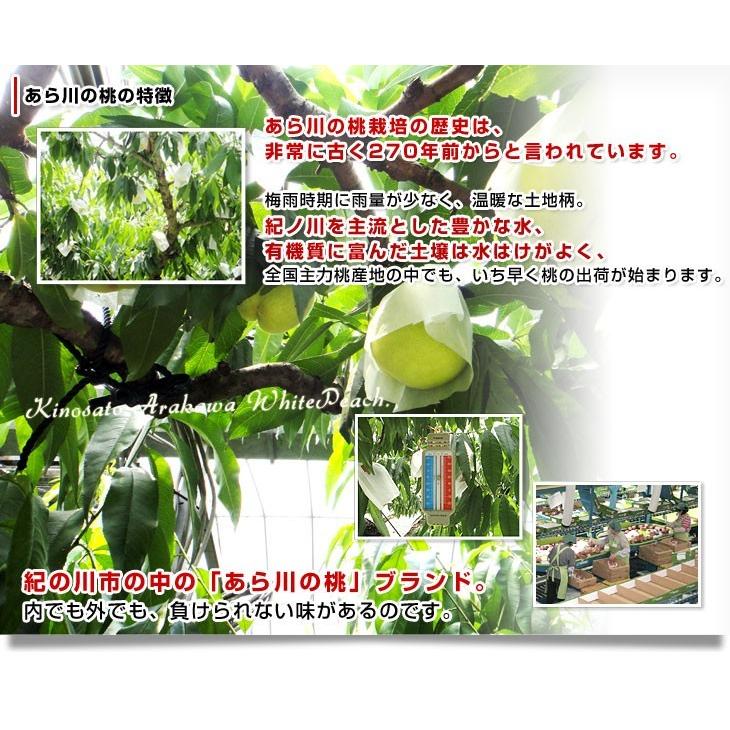 和歌山県より産地直送 JA紀の里 あら川の桃 清水白桃 赤秀品 1.8キロ (6玉から8玉) 送料無料 桃 もも|sanchokudayori|05