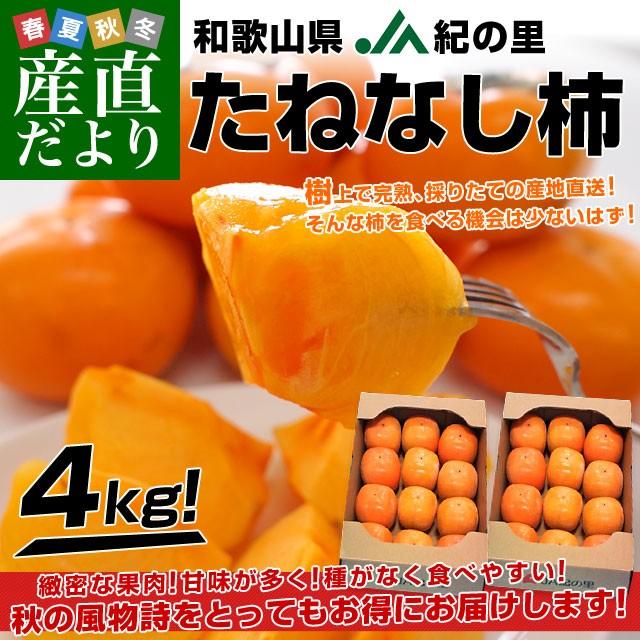 和歌山県より産地直送 JA紀の里 たねなし柿 合計4キロ 2キロ×2箱 (10玉 