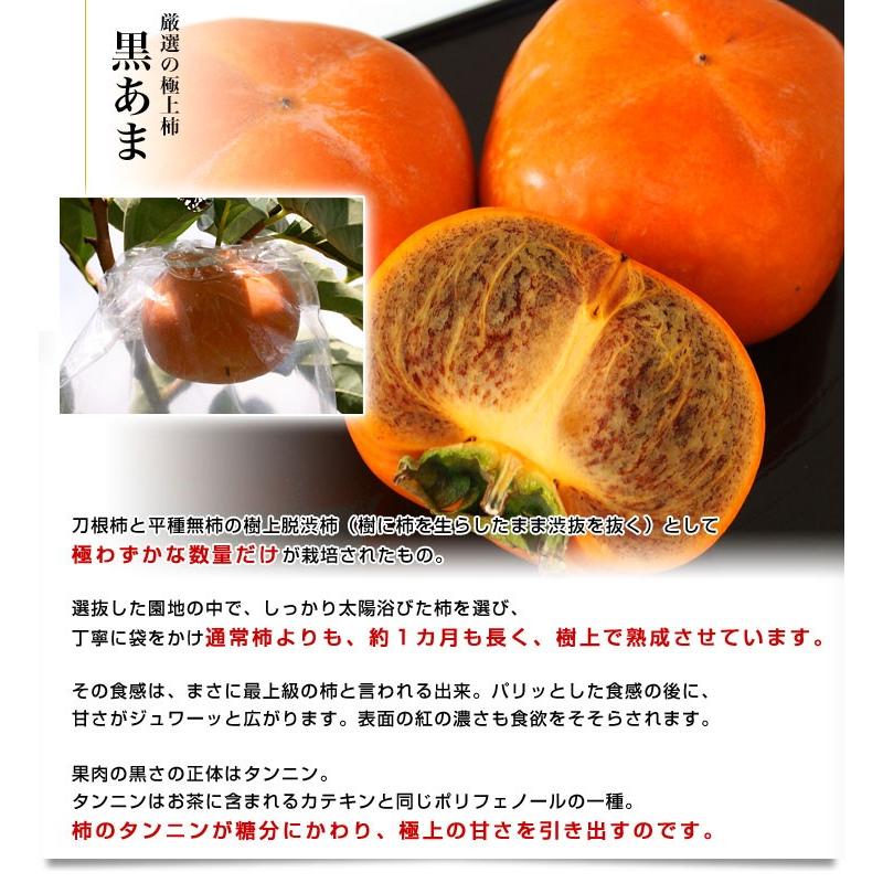 和歌山県より産地直送 JA紀の里 紀の川柿（黒あま）約2キロ(7玉から9玉) 送料無料 カキ かき 柿 ギフト｜sanchokudayori｜04