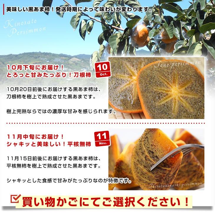 和歌山県より産地直送 JA紀の里 紀の川柿（黒あま）約2キロ(7玉から9玉) 送料無料 カキ かき 柿 ギフト｜sanchokudayori｜05