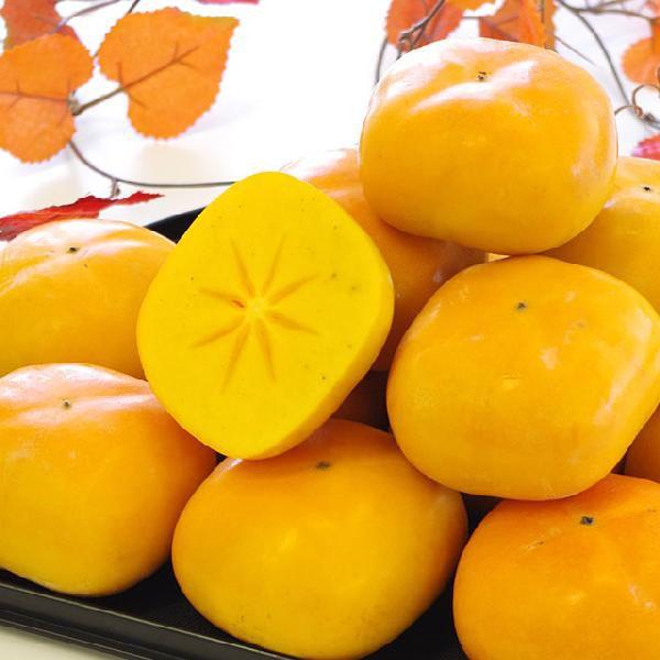 和歌山県より産地直送 JAわかやま 紀の里地域本部 たねなし柿 大玉3L