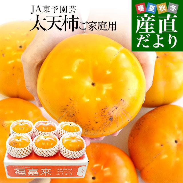 愛媛県周桑産 JA東予園芸 太天柿 ご家庭用 3.5キロ(5玉から7玉) 送料