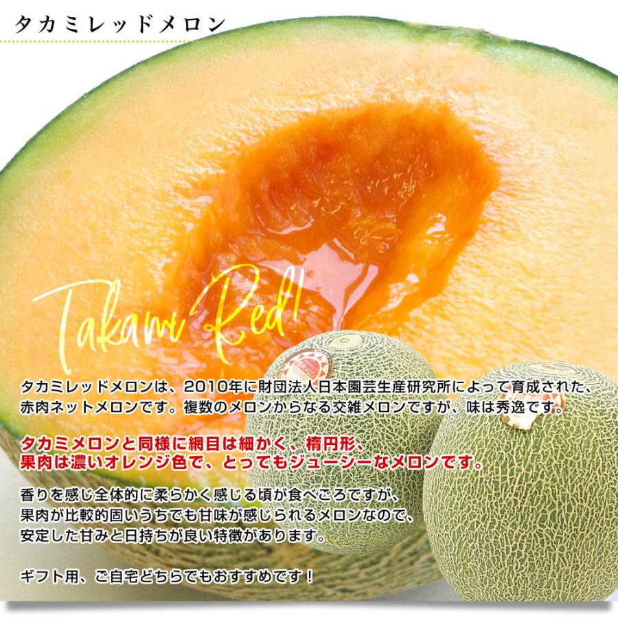 新品本物 タカミメロン4Lサイズ優等級 2玉入り1箱 貴味メロン 青肉メロン m2タカミメロン2980円2.5kg前後×2玉 山形 県産 訳あり家庭用