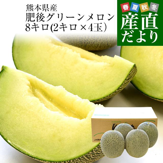 熊本県産 JAやつしろ他 肥後グリーンメロン 優品以上 超盛り 8キロ前後 (4玉から5玉) めろん 市場スポット 送料無料（Yahoo!・産直だより）